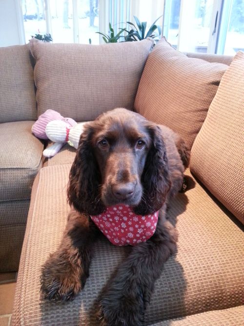 Poor Fredi back home asking "When's Dad going to put in the turkey?"