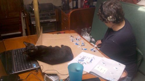 Sparta helping John assemble robot kit he got for Christmas