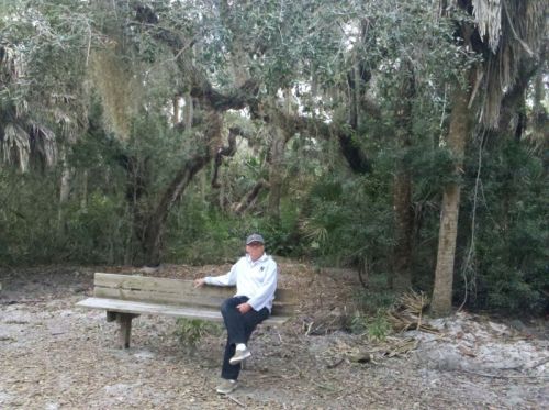 Beautiful nature trail at Cayo Costa