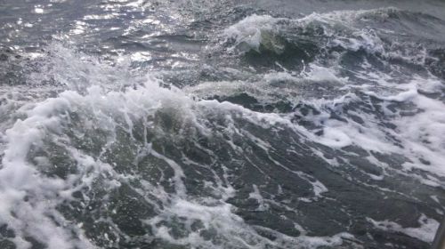 Here's what the water looks like AFTER the dolphin goes away -- I have about a 100 of these pictures