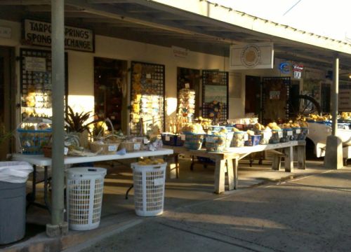 In Tarpon Springs, you want sponges, they got sponges!  We counted 12 sponge markets on Deodocenase Avenue alone.