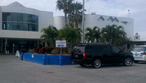 Would I ever lie to you?