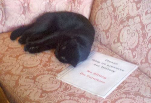 Sparta's Hemingway cousin.  No sitting rule only applies to humans.