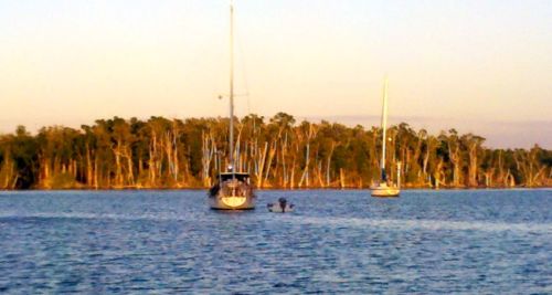 Anchorage, Little Shark River, the Everglades -- you can't get any further from Block Island physically or mentally than this