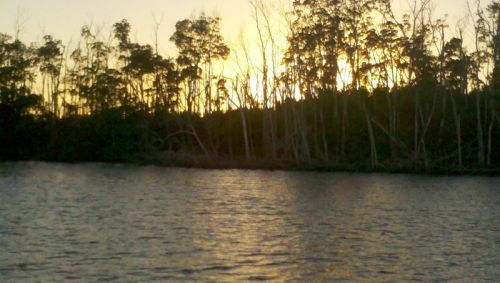 Sunset, Little Shark River, the Everglades