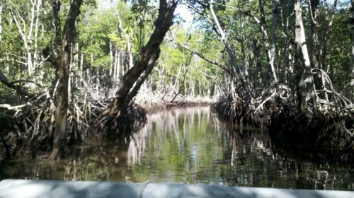 They run the boat up to about 20 mph on these straight stretches and it feels like 100