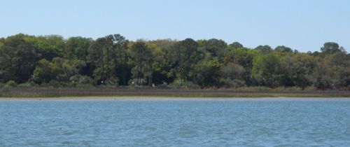From the time we left this morning to this afternoon, palm trees and mangroves have given way to oaks sassafras.