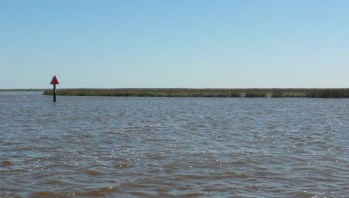 The Darien River -- nine miles of water, grass, sky -- and more grass.