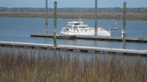 Memsahib of the Marshes.