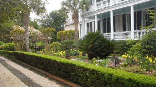 Many of the single houses have elaborate small gardens facing the verandas.