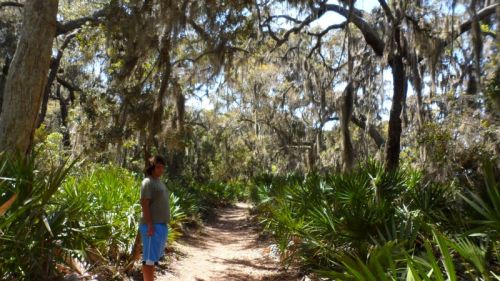 34Miles of beautiful trails cross Cumberland Island.