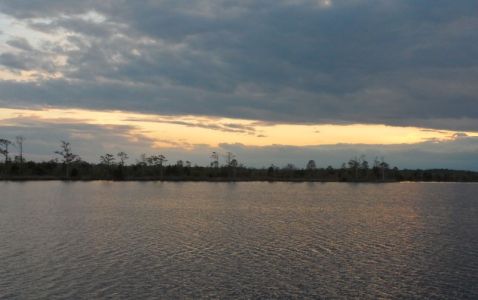 Alligator River anchorage, as remote and serene as we've been in the whole trip.
