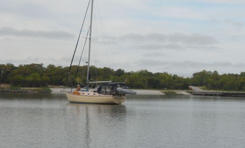 Hammock Bay -- not a grunt in sight.