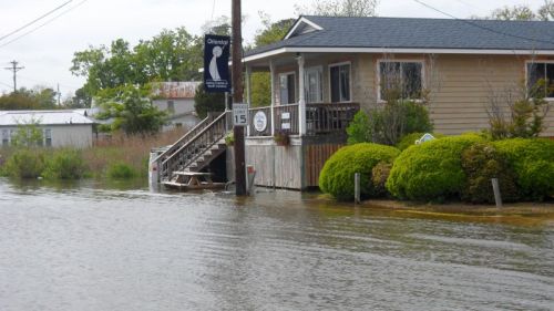 Coffee shop near the marina.  Fish were swimming in the street.