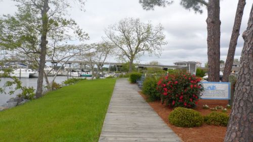 Waterfront Park, Oriental.  We are really chasing Spring up the coast now.