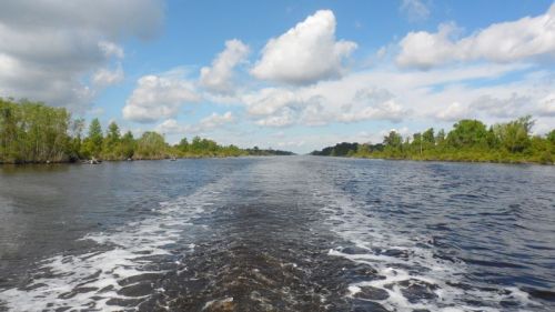 Pungo-Alligator Canal.  Straight as a string.  Once a vital link in Eastern seaboard commerce. now pretty much deserted.